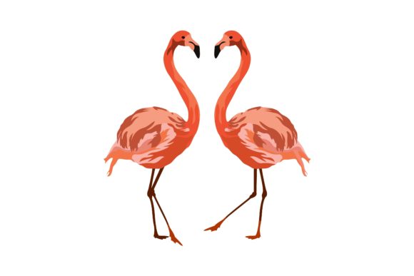 Download Couple Sweet  Pink Flamingo Illustration - Flamingo illustration Collection