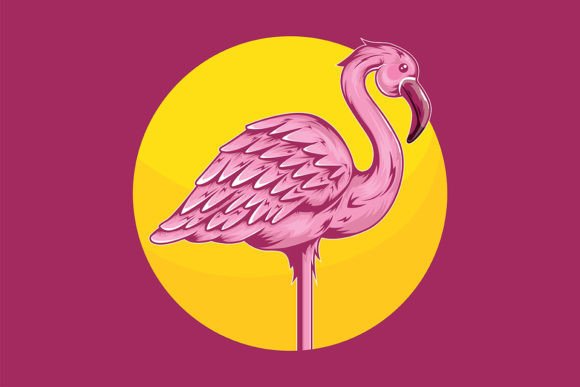 Download Tropical Animal Flamingo Illustration - Flamingo illustration Collection